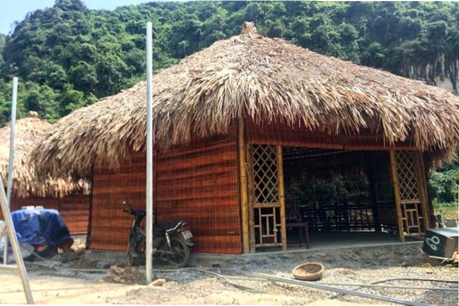 Bảng giá tham khảo cho lá cọ khô