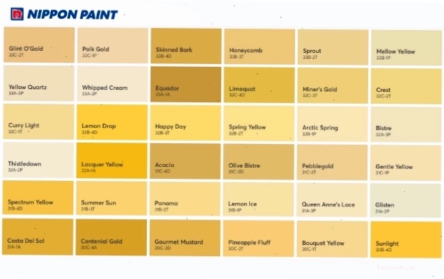 Bảng màu vàng nâu đa dạng từ Nippon Paint giúp chọn sắc độ phù hợp cho ngôi nhà