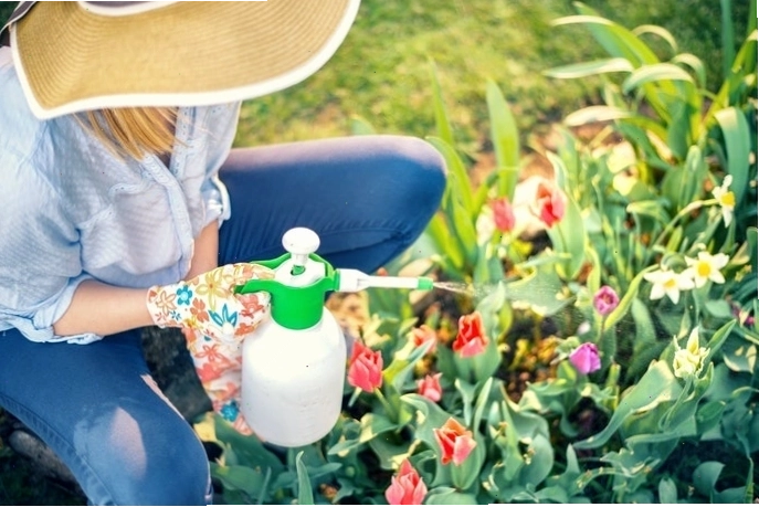 Bình xịt tích hợp vòi dài rất hữu ích khi phun tưới ở khu vực hẹp