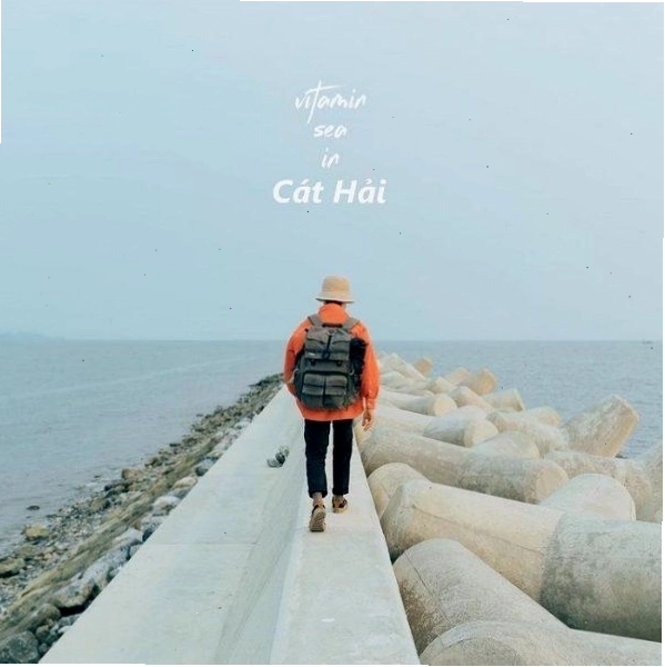 Bờ kè chắn sóng Cát Hải dài và đẹp