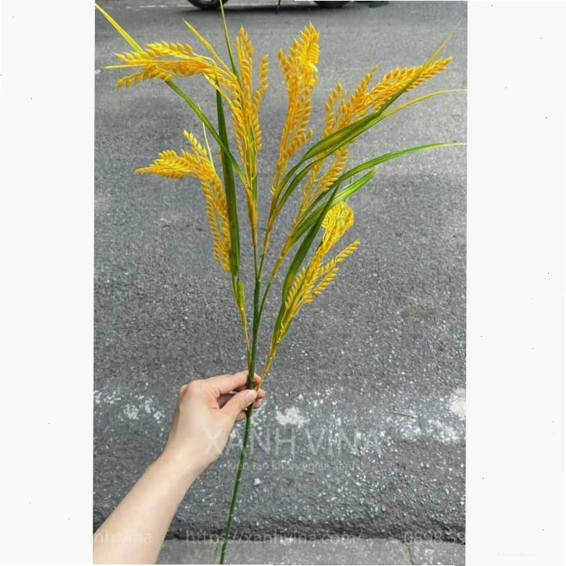 Bông lúa vàng giả, một hình ảnh trang trí phổ biến