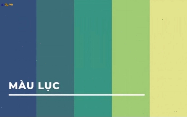 Bức ảnh minh họa gam màu xanh lục bảo rực rỡ
