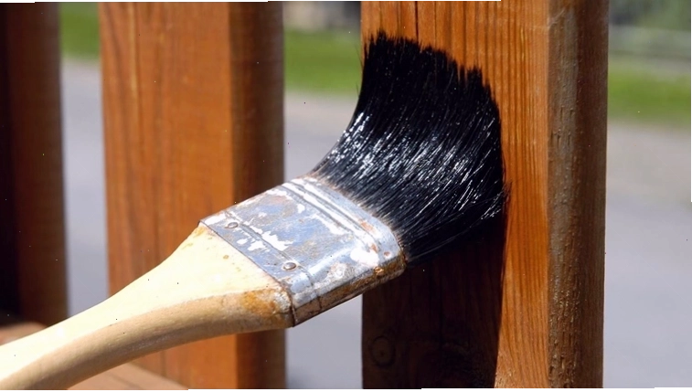Cách diệt mối mọt hiệu quả