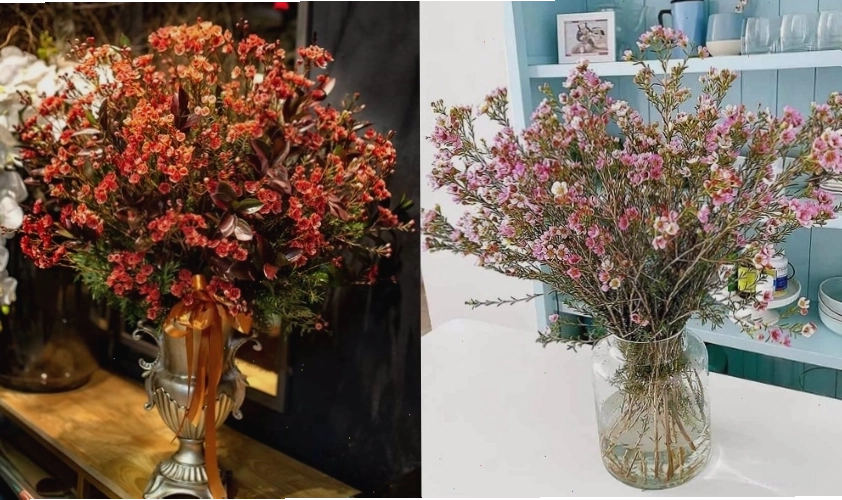 Cắm hoa thanh liễu đơn giản nhưng vẫn đẹp, sang trọng