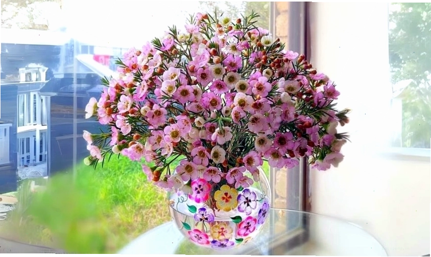 Cắm hoa thanh liễu với bình thấp