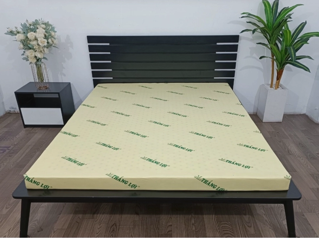 Cận cảnh cấu trúc nệm cao su non Thắng Lợi, cho thấy độ đàn hồi và khả năng nâng đỡ