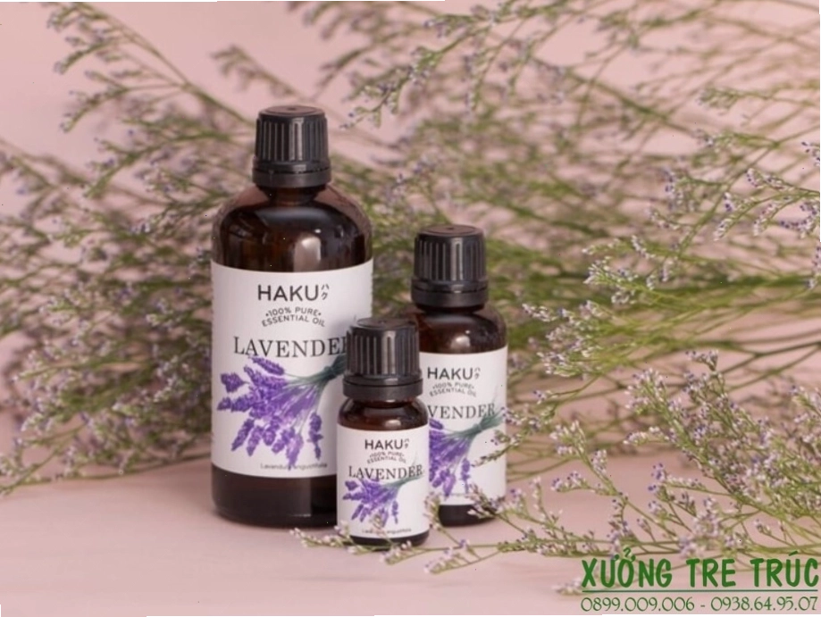 Cận cảnh lá tràm và thân cây