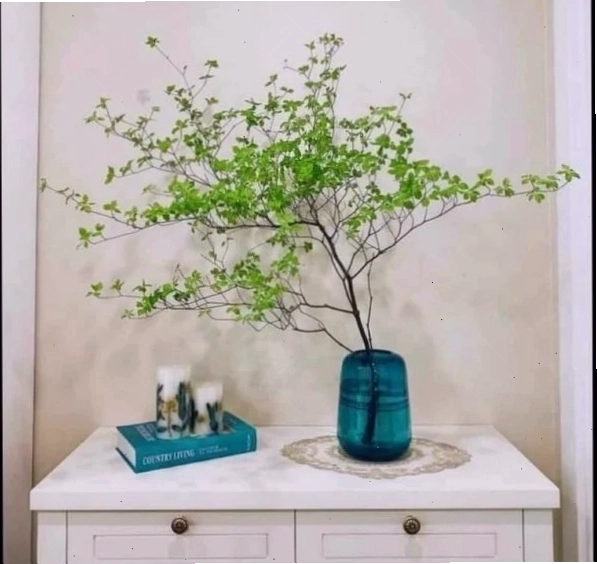 Cành thạch nam Nhật Bản bên cạnh lá đô la