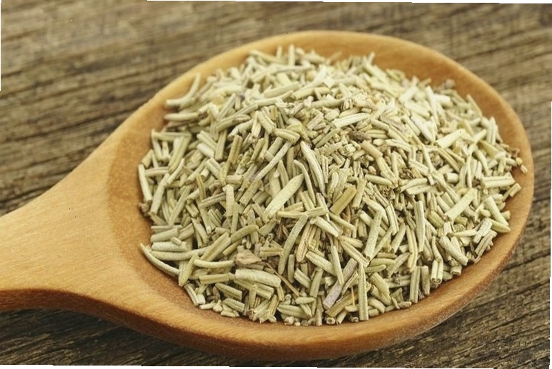 Cây hương thảo được phơi khô để làm dược liệu