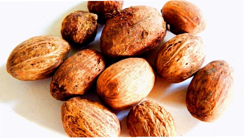 Cây tu hú có tác dụng gì?