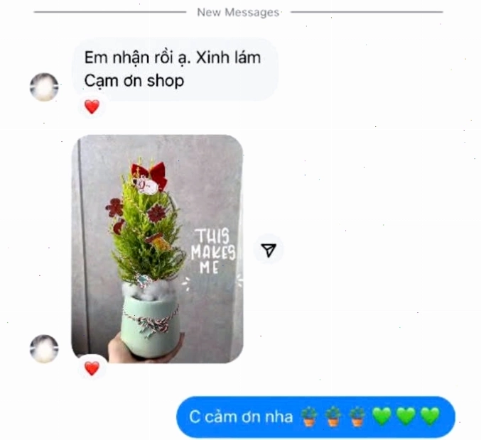 Cây Tùng Thơm để bàn feedback 1
