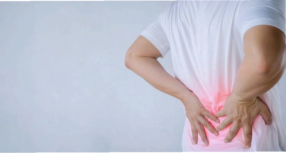 Cây xương rồng ba cạnh với thân có 3 cạnh lồi rõ rệt, gai nhọn và hoa vàng rực rỡ
