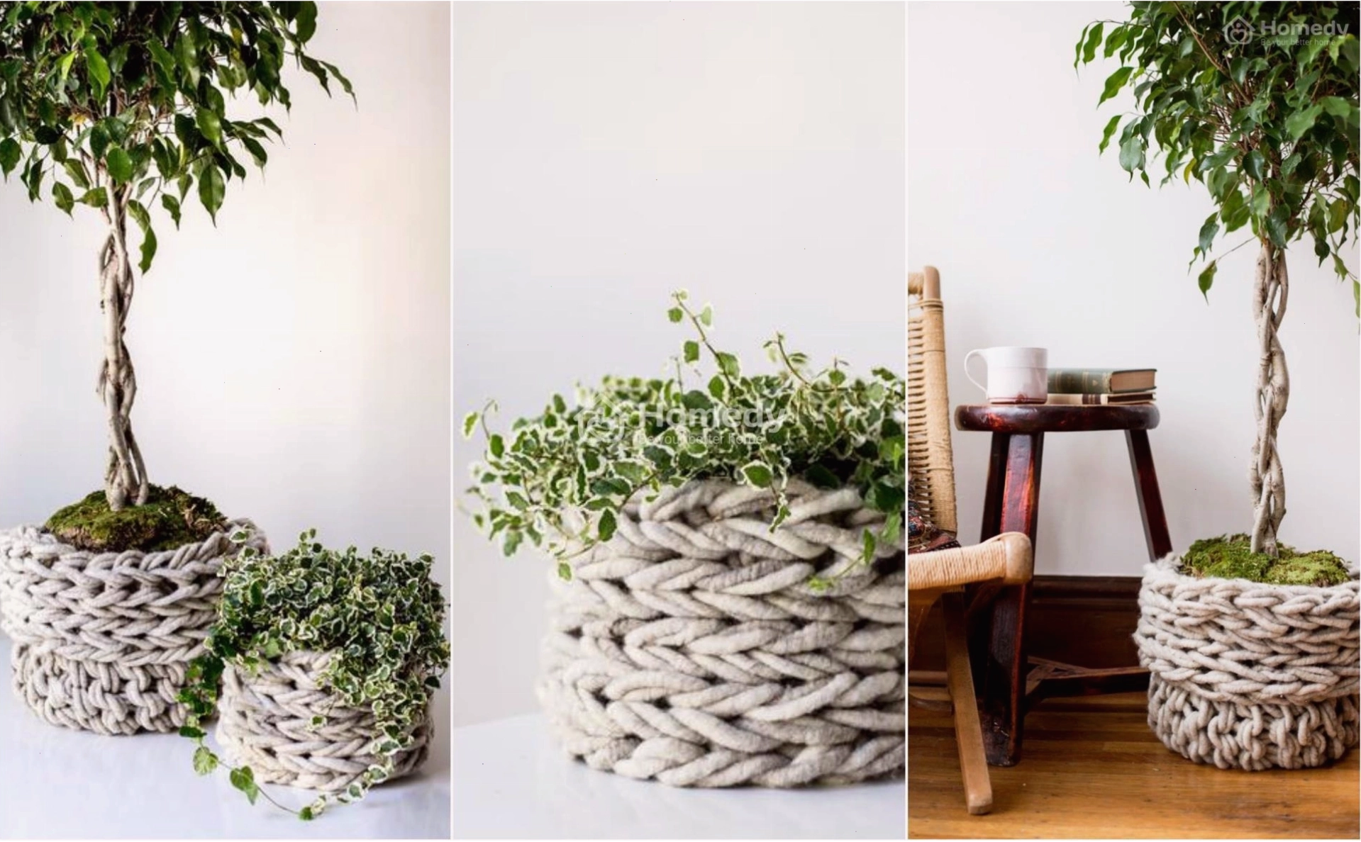 Chậu cây trang trí nhà với giỏ đan ấm áp