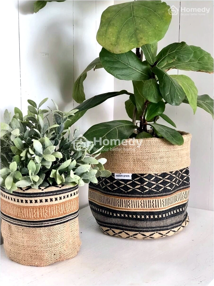 Chậu cây trang trí nhà với họa tiết độc đáo