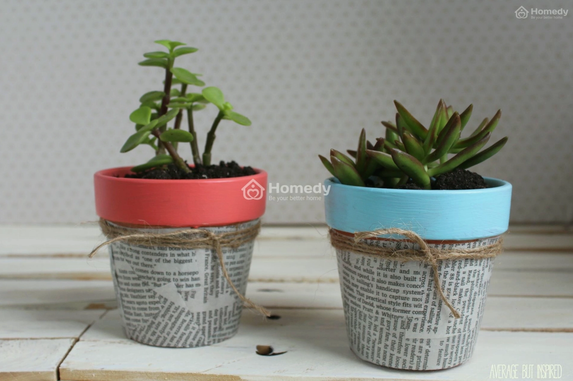 Chậu cây trang trí nhà với họa tiết hình học ấn tượng