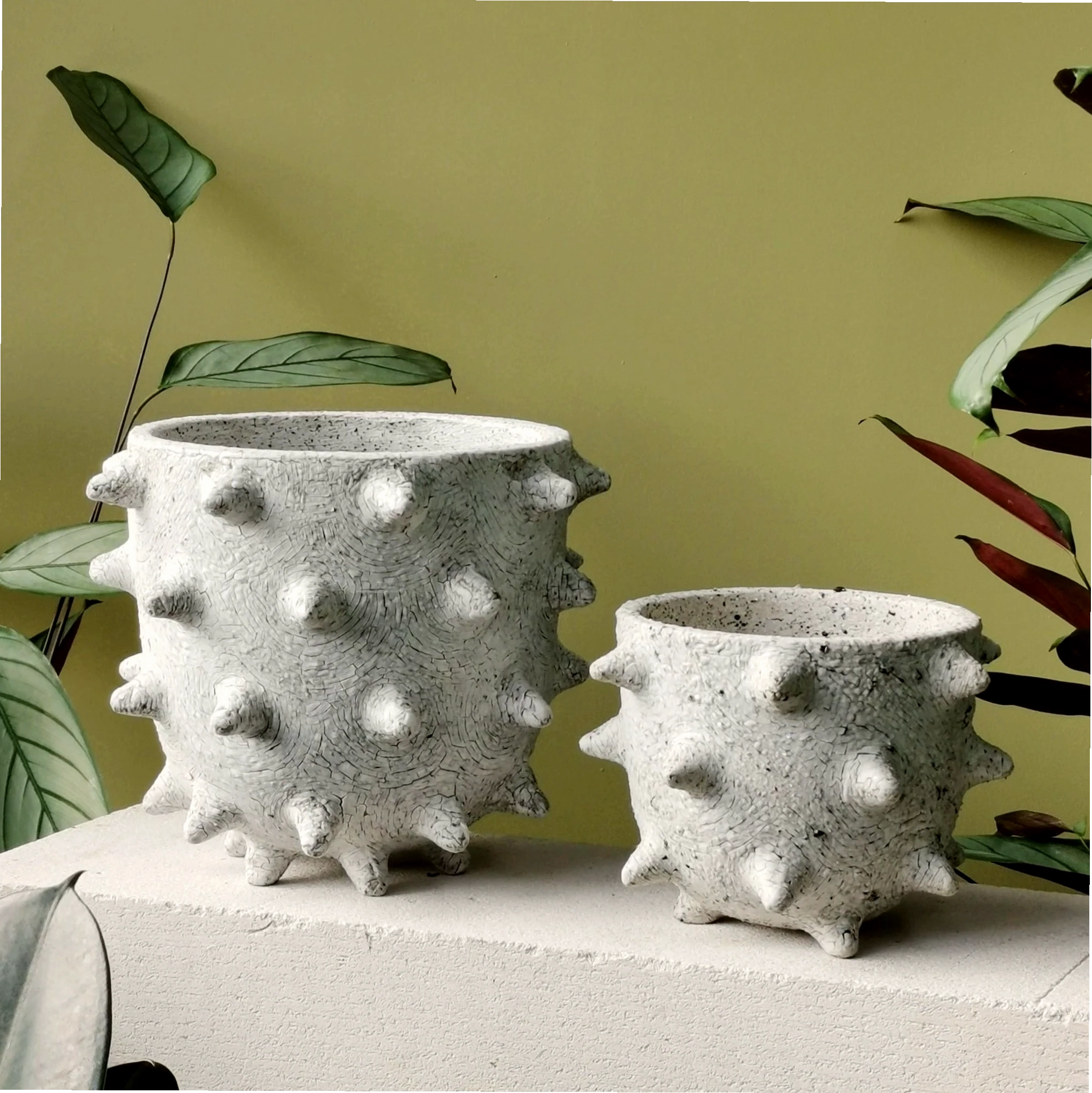 Chậu gốm sứ Extra Large Spike màu trắng trang nhã