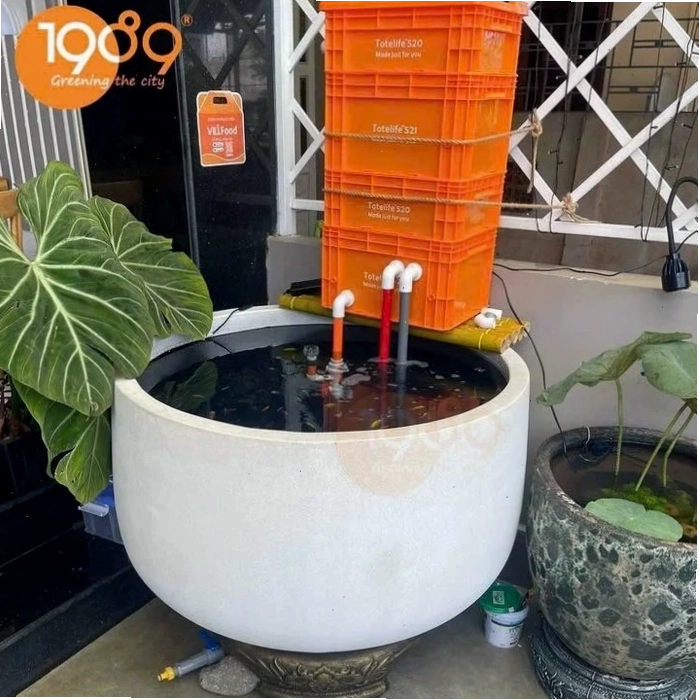 Chậu Tròn Bầu 60*100cm, kiểu dáng mềm mại, uyển chuyển