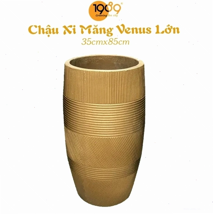 Chậu Xi Măng Venus Lớn 35x85cm, phù hợp trang trí nội thất