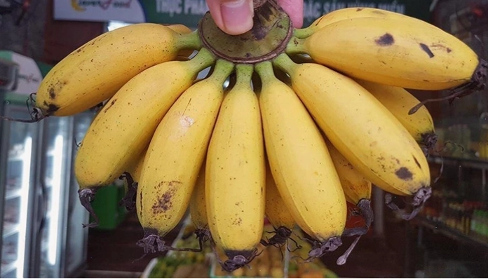 Chuối ngự có quả nhỏ, vị ngọt thanh và hương thơm đặc trưng