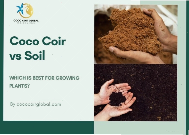 Coco Coir vs Soil