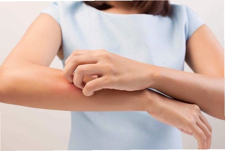 Công dụng của cây khế trong đời sống
