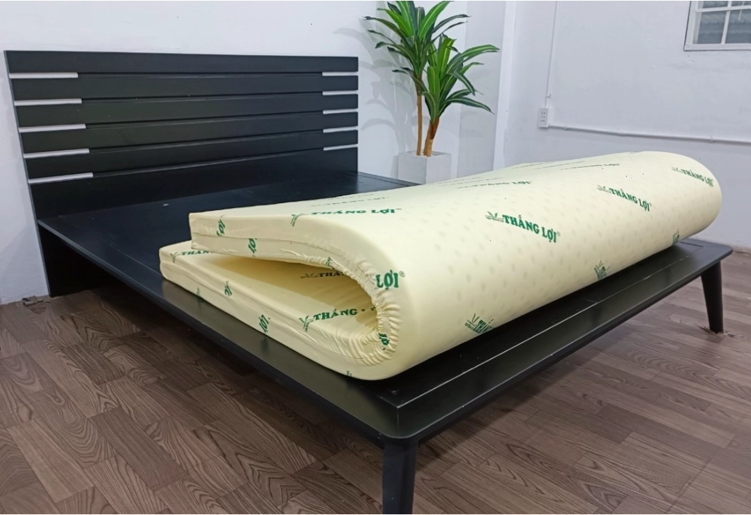 Cửa hàng trưng bày nệm cao su non Thắng Lợi, với nhiều mẫu mã và kích cỡ