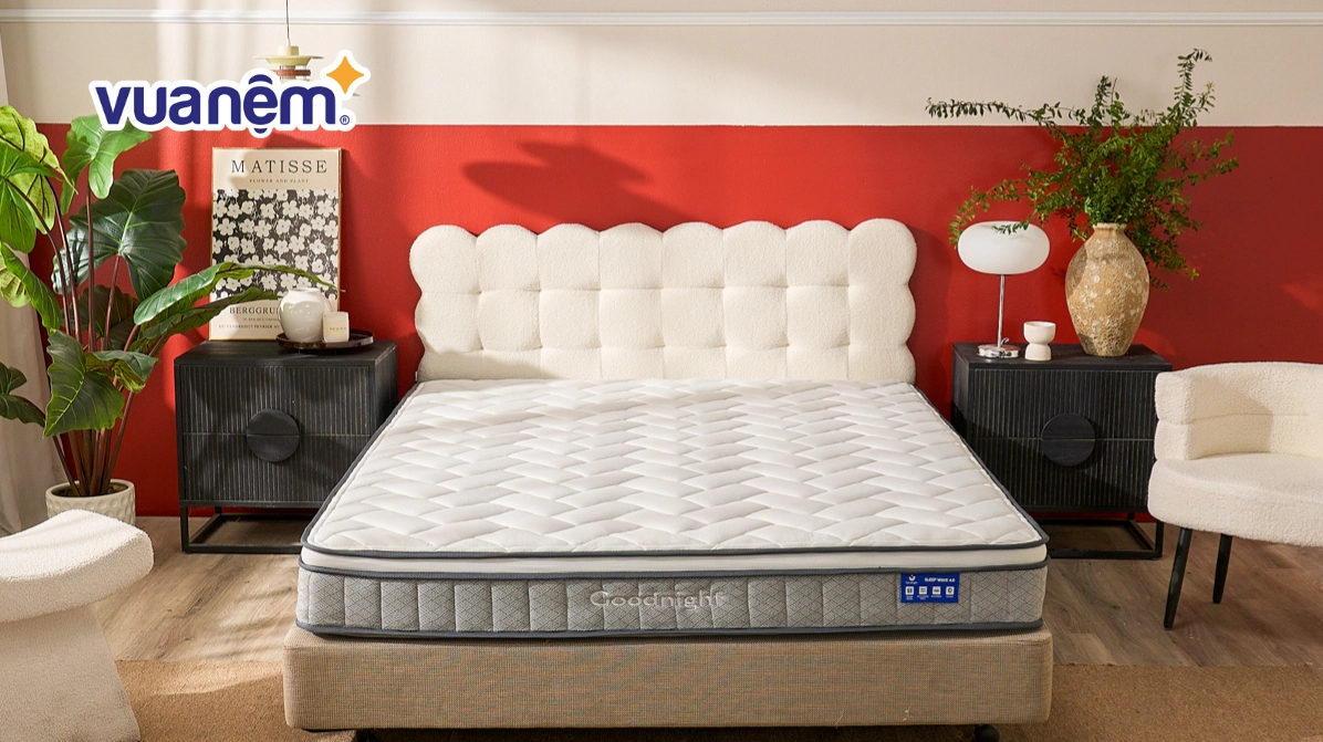 Đệm Lò Xo Everon và Các Thương Hiệu Uy Tín: Hướng Dẫn Chọn Lựa