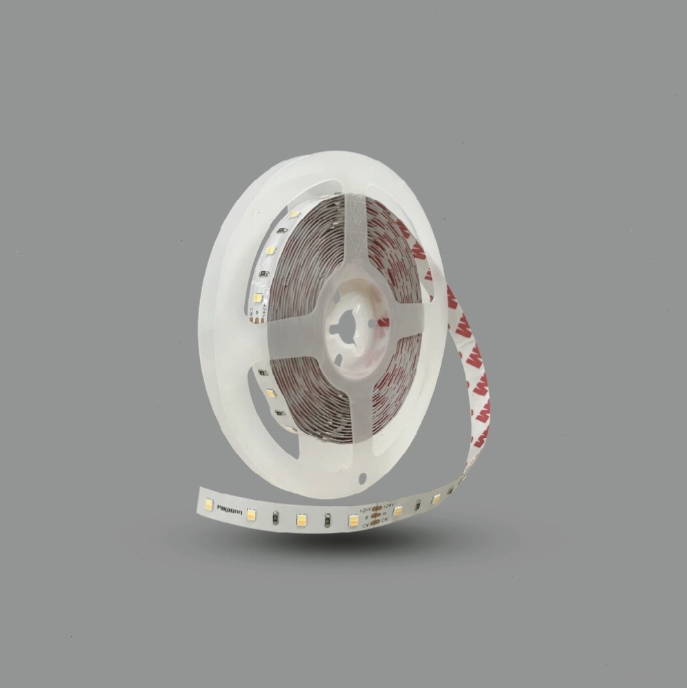 Đèn LED dây đổi màu LED2835/TW