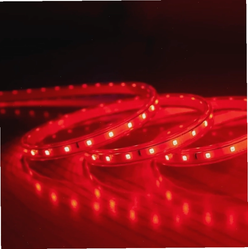Đèn led dây Rạng Đông có đa dạng màu sắc cho bạn dễ dàng lựa chọn