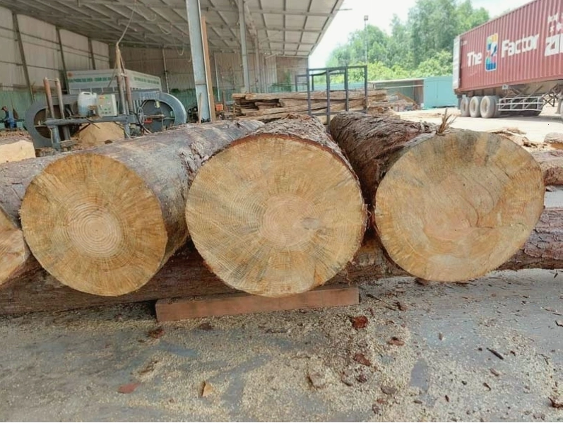 Gỗ thông tròn nhập khẩu