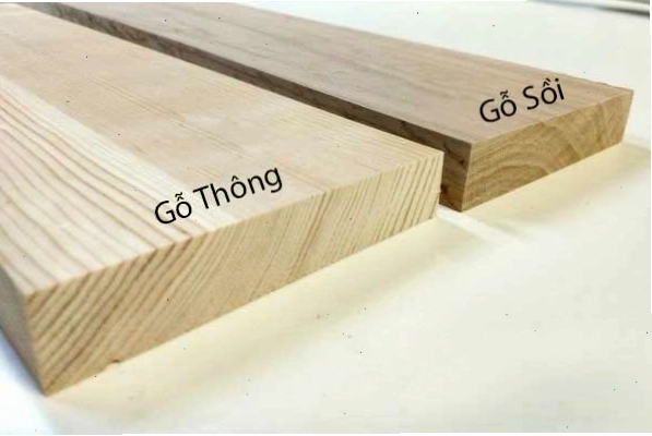 Gỗ thông và gỗ sồi