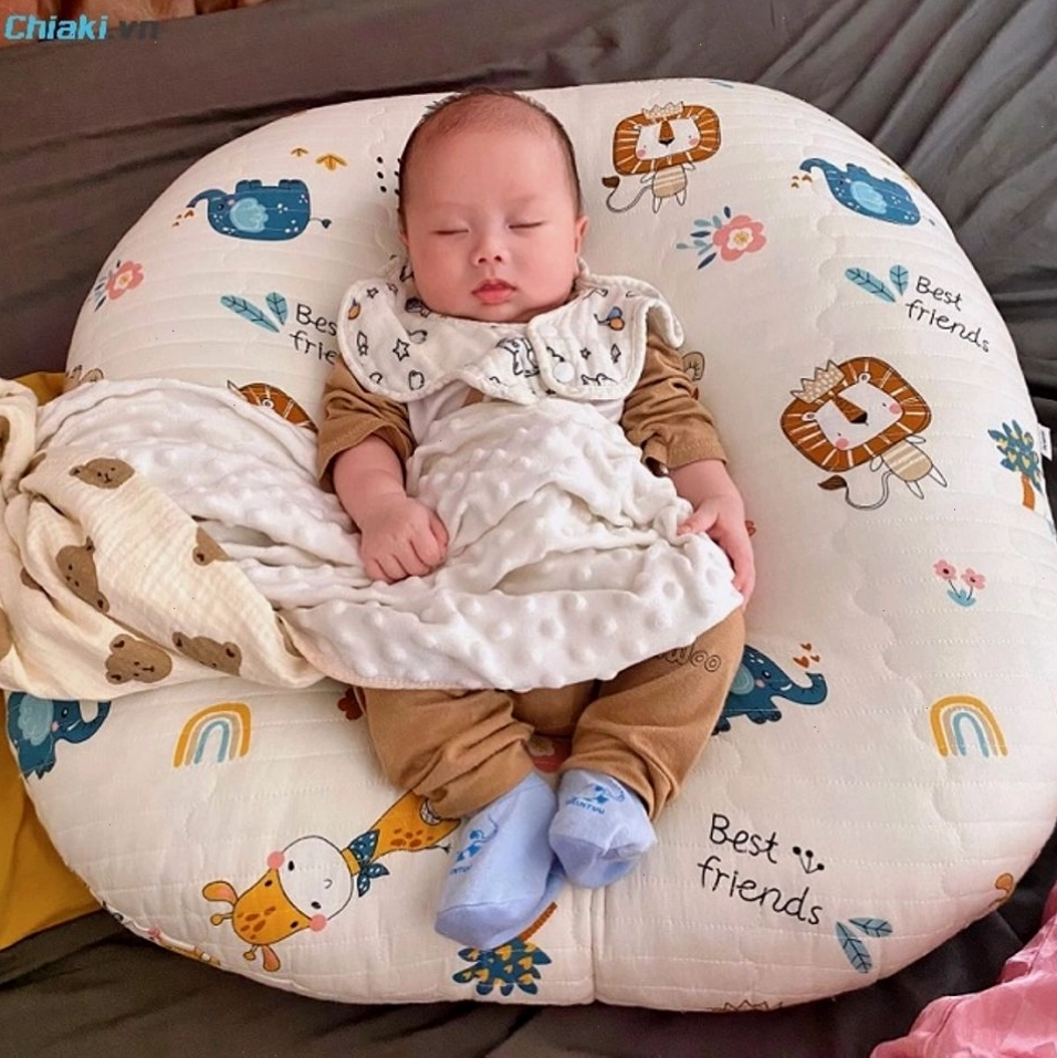 Gối cao cấp Vuông Tròn Cotton Hàn chống trào ngược dạ dày