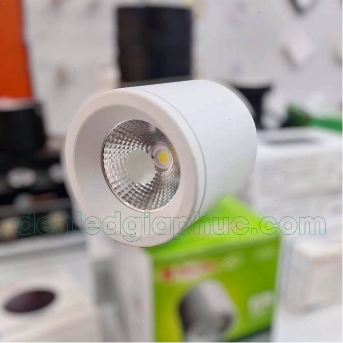 Hình ảnh đèn ống bơ gắn trần 12w rạng đông