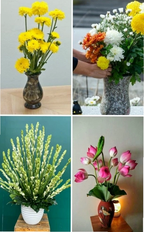 Hoa cúng tết Thanh minh nên chọn loại nào ý nghĩa