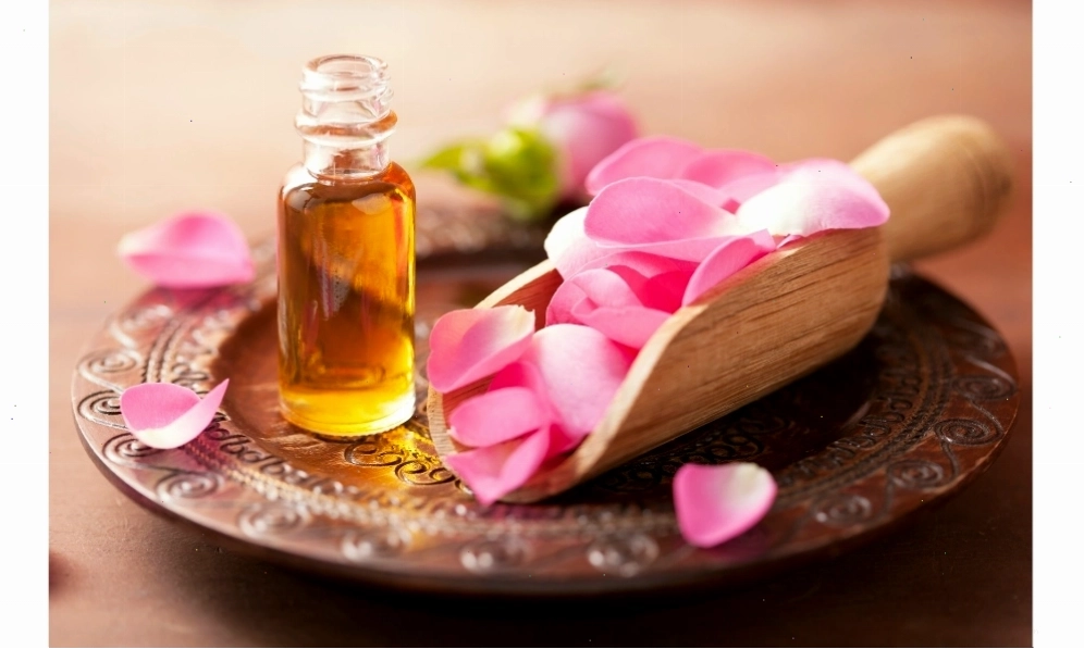 Hoa hồng Pháp có nhiều công dụng hữu ích cho sức khỏe và làm đẹp