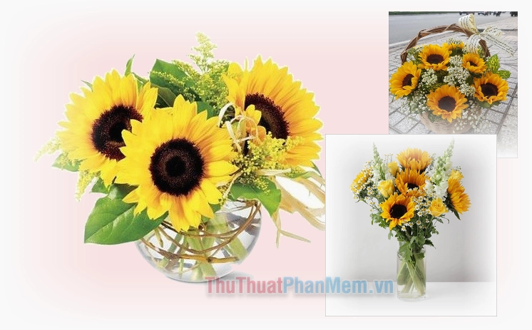 Khám phá 15+ cách cắm hoa hướng dương đẹp và ý nghĩa