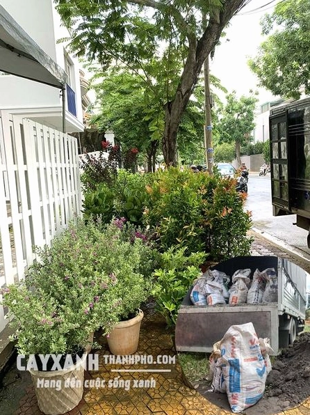 Khám phá các loại đất trồng cây tối ưu cho khu vườn nhà bạn