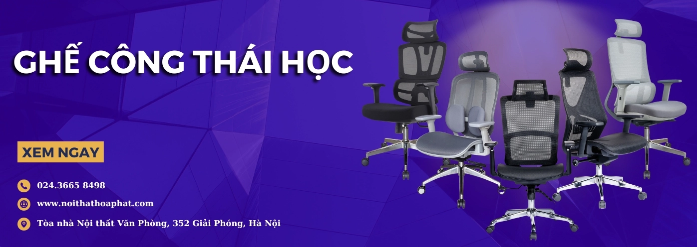 Khám phá Thế giới Ghế Công Thái Học: Giải pháp Tối ưu cho Sức khỏe và Năng suất
