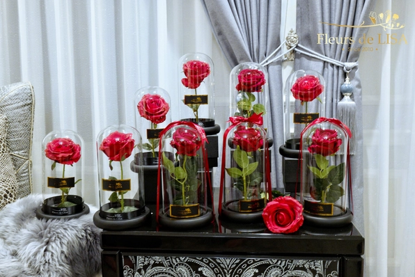 Khám phá vẻ đẹp hoa hồng nhung đỏ: Ý nghĩa, công dụng và cách trồng