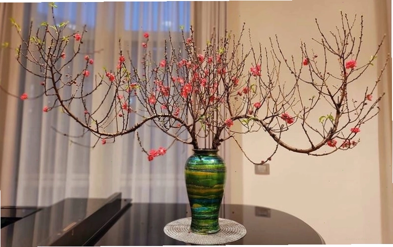 Không gian ấm cúng với cây đào trong lọ
