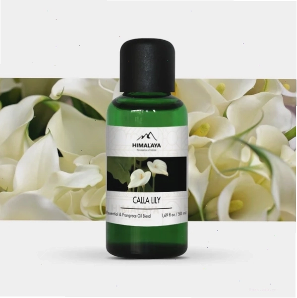 Kiểu dáng bó hoa calla lily tinh tế