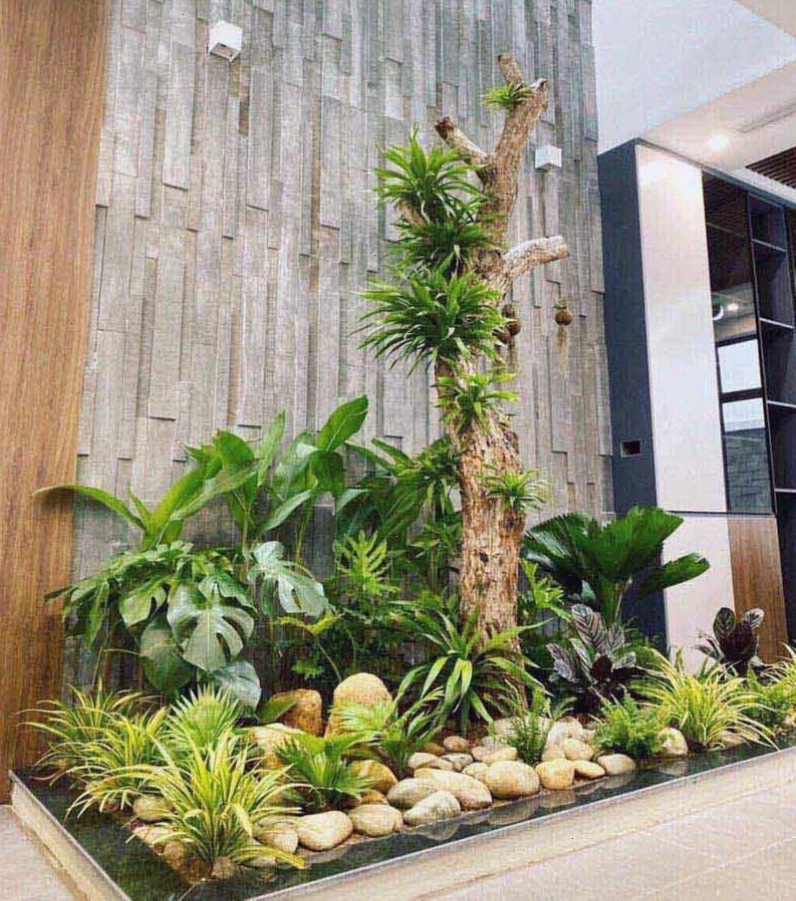 Lựa chọn loại cây trồng trong nhà phù hợp với không gian