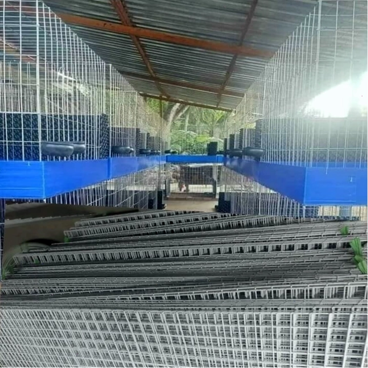 Lưới thép làm chuồng cho vật nuôi