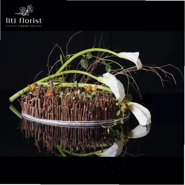 Lưu ý khi trưng bày và chăm sóc hoa rum (Calla Lily)