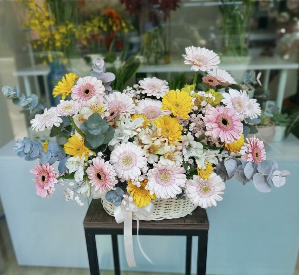 Mẫu giỏ hoa đồng tiền nhiều màu sắc rực rỡ thích hợp làm quà tặng