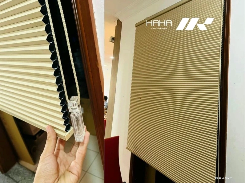 Mẫu rèm cuốn tổ ong Hàn Quốc mới nhất, với thiết kế độc đáo và khả năng cách nhiệt.
