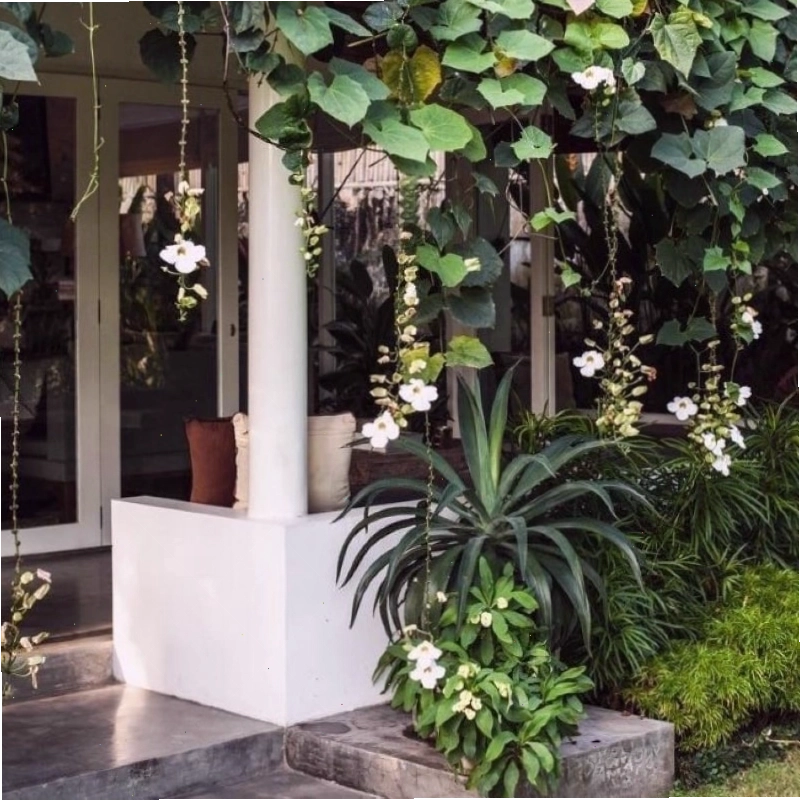 Mẫu sân vườn đẹp với sự tối giản trong cách bố trí cây xanh và lối đi