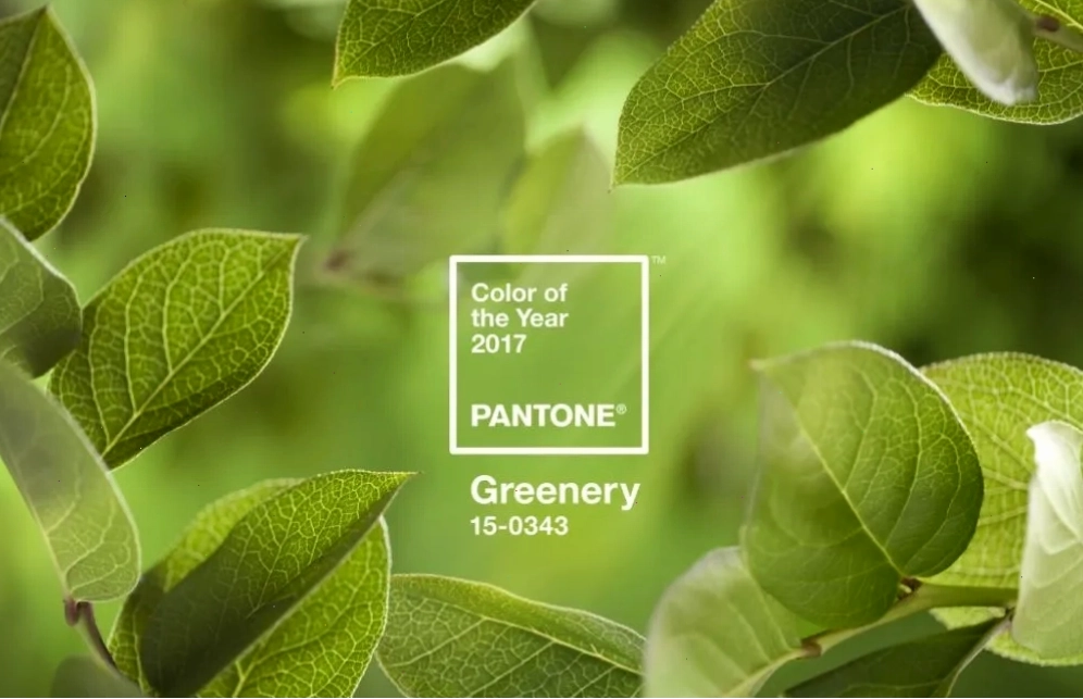 Màu xanh lá mạ từng được chọn là màu sắc của năm 2017