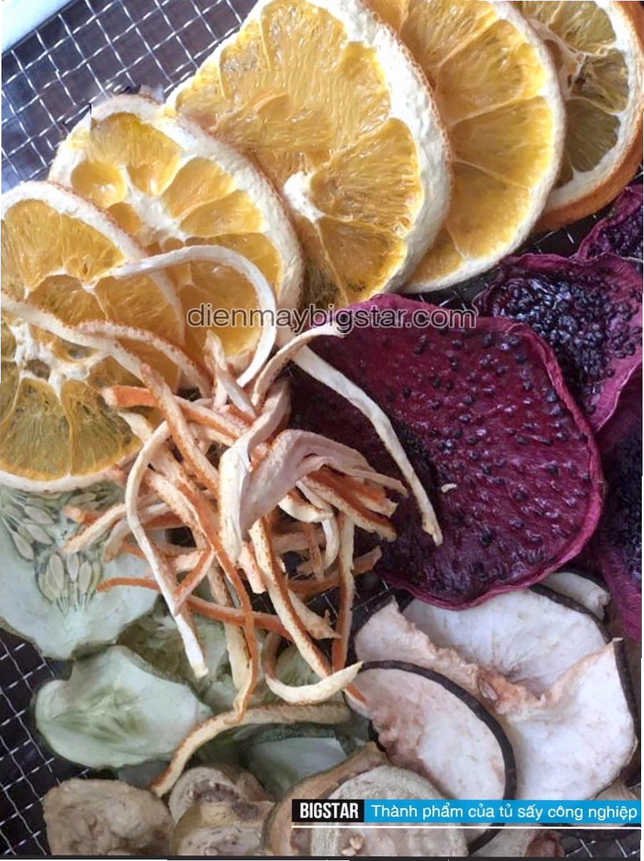 Máy sấy trái cây