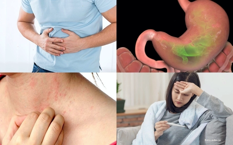 Minh họa các công dụng đa dạng của cây bạc hà